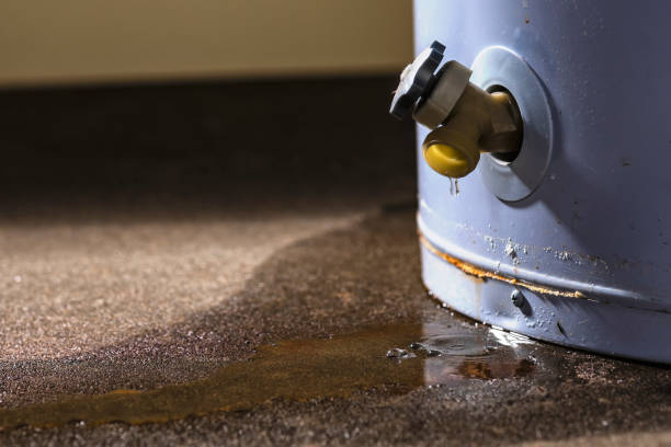 Best Water damage restoration services  in Notre Dame, IN