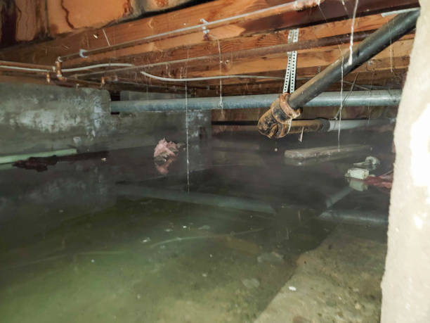 Best Flooded house restoration  in Notre Dame, IN