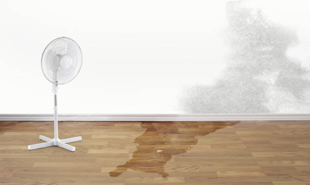 Best Commercial water damage restoration  in Notre Dame, IN