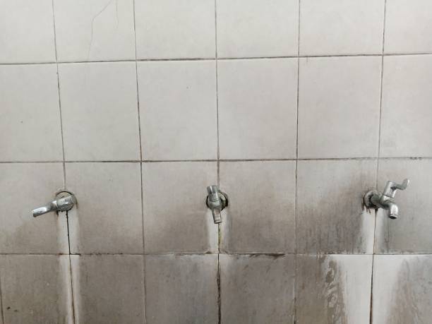 Professional Water damage restoration in IN