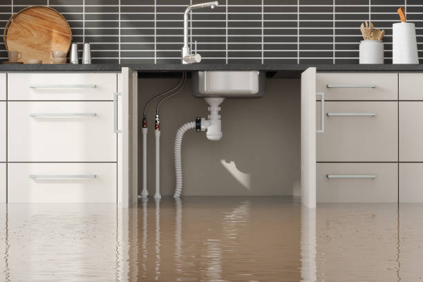 Best 24/7 water damage repair  in Notre Dame, IN