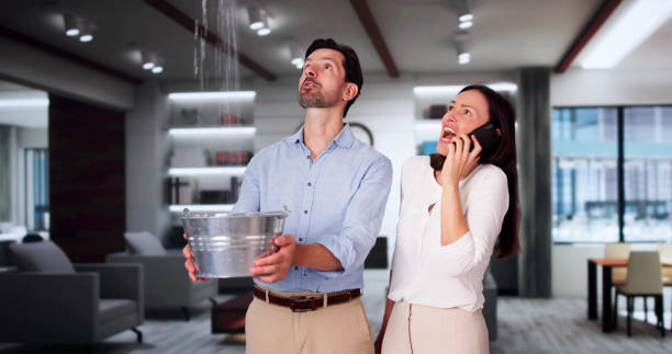 Best Flood restoration services  in Notre Dame, IN