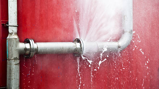 Best Flood damage cleanup  in Notre Dame, IN