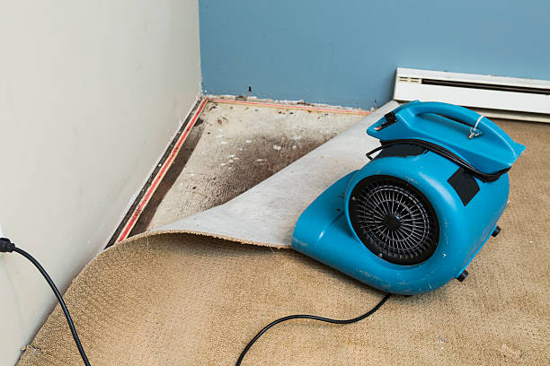 Best Basement water damage restoration  in Notre Dame, IN